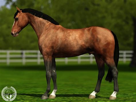 Sims 3 Horse Templates